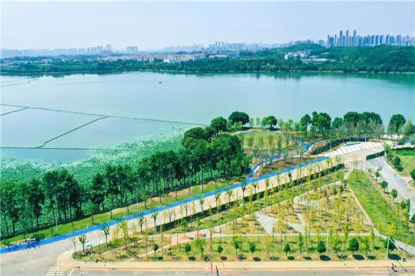 汉武帝一共四位皇后,三位被他害死一位精神失常,他为何这么狠?_陈阿娇_卫子夫_馆陶公主