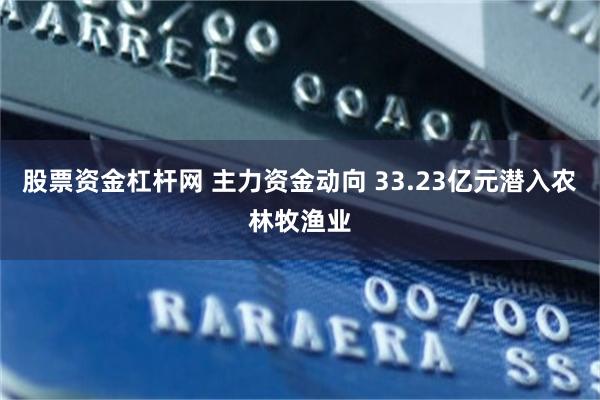 股票资金杠杆网 主力资金动向 33.23亿元潜入农林牧渔业