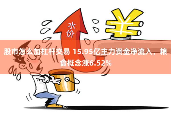股市怎么加杠杆交易 15.95亿主力资金净流入，粮食概念涨6.52%
