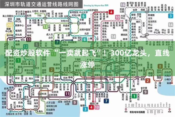 配资炒股软件 “一卖就起飞”！300亿龙头，直线涨停