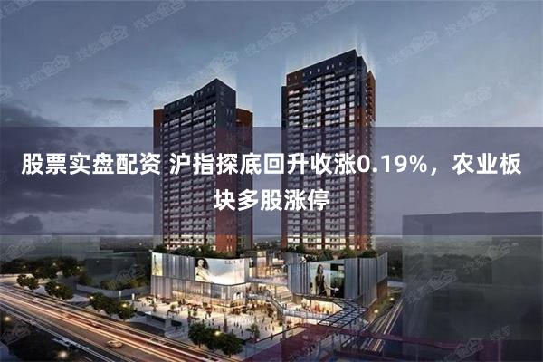 股票实盘配资 沪指探底回升收涨0.19%，农业板块多股涨停