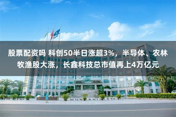 股票配资吗 科创50半日涨超3%，半导体、农林牧渔股大涨，长鑫科技总市值再上4万亿元