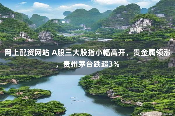 网上配资网站 A股三大股指小幅高开，贵金属领涨，贵州茅台跌超3%
