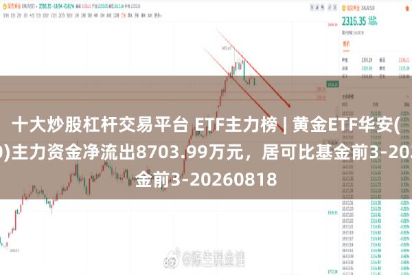 十大炒股杠杆交易平台 ETF主力榜 | 黄金ETF华安(518880)主力资金净流出8703.99万元，居可比基金前3-20260818