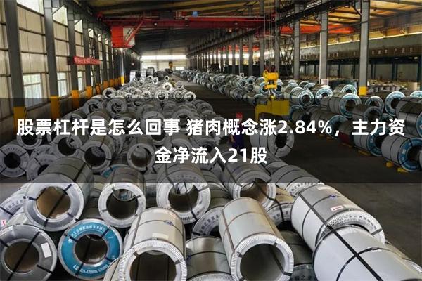 股票杠杆是怎么回事 猪肉概念涨2.84%，主力资金净流入21股