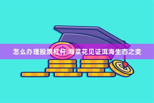 怎么办理股票杠杆 海菜花见证洱海生态之变