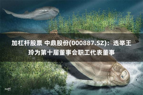 加杠杆股票 中鼎股份(000887.SZ)：选举王玲为第十届董事会职工代表董事