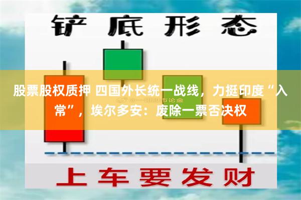 股票股权质押 四国外长统一战线，力挺印度“入常”，埃尔多安：废除一票否决权
