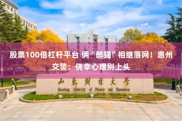 股票100倍杠杆平台 俩“醉猫”相继落网！惠州交警：侥幸心理别上头