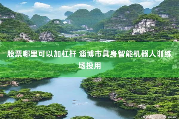 股票哪里可以加杠杆 淄博市具身智能机器人训练场投用