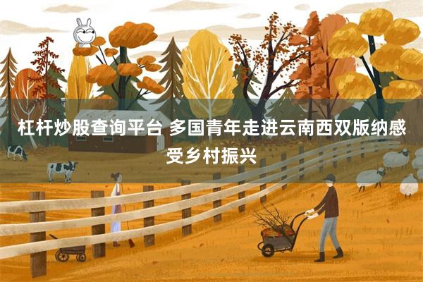 杠杆炒股查询平台 多国青年走进云南西双版纳感受乡村振兴